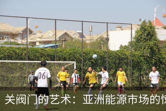 关阀门的艺术：亚洲能源市场的惊涛骇浪